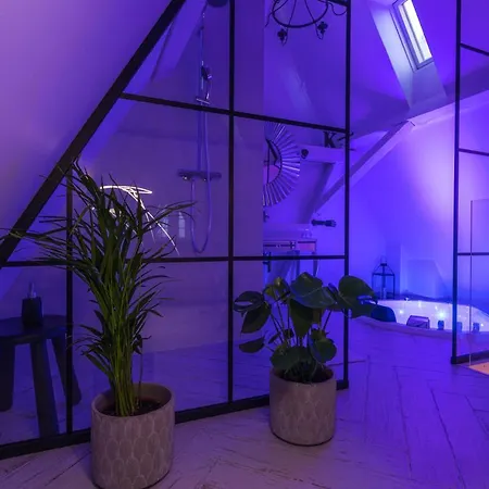 Magiczne Gniazdko Na Samym Rynku