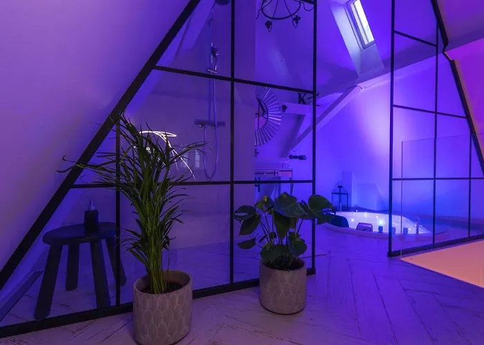 Magiczne Gniazdko Na Samym Rynku